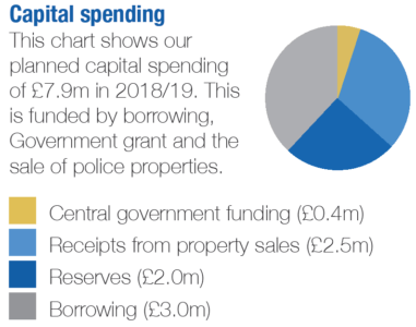 Pie chart showing capital spending 2018/19
